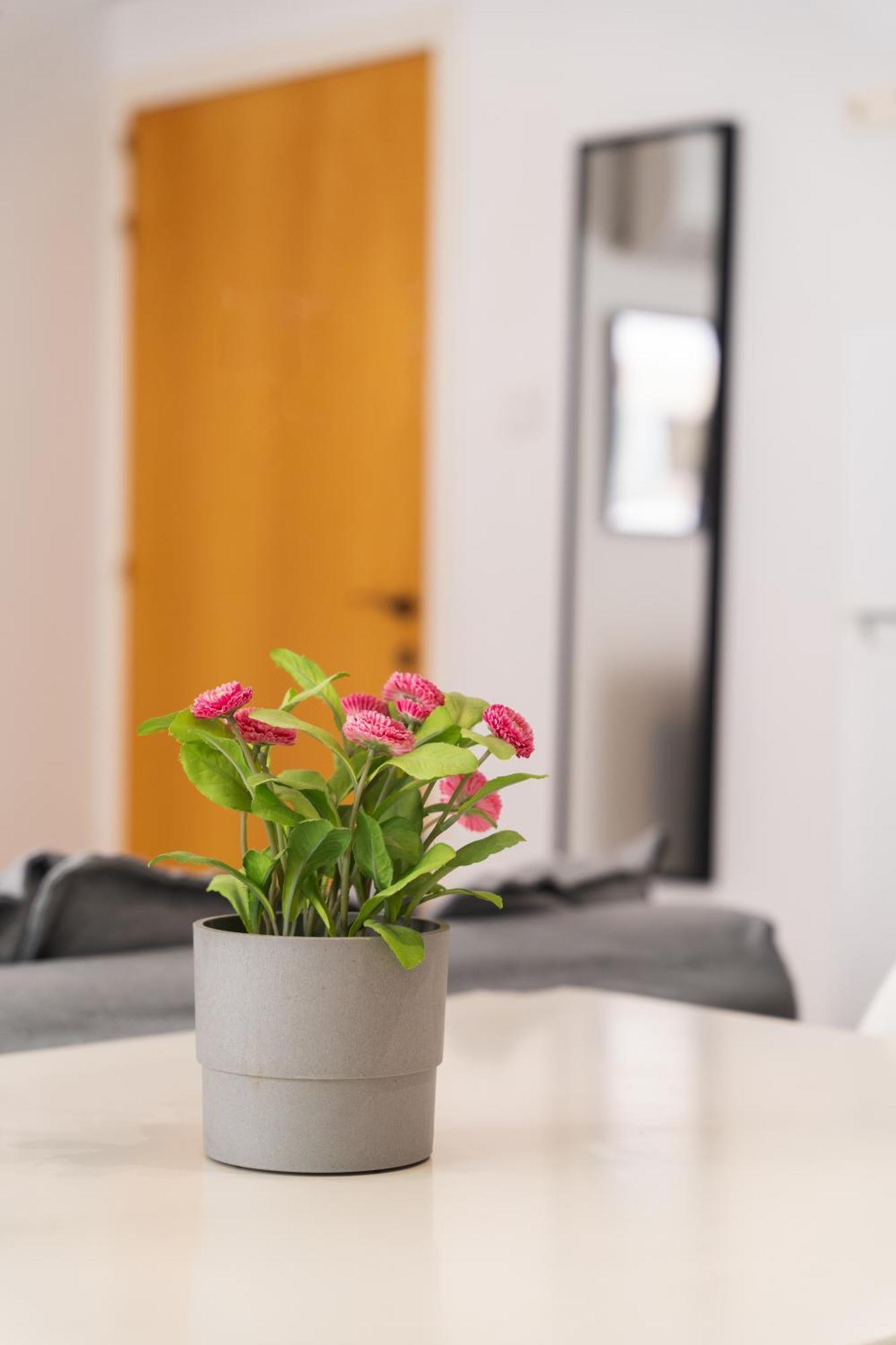 Kave Blue Mackenzie 1 Bdr Flat With Pool Apartamento Larnaca Exterior foto